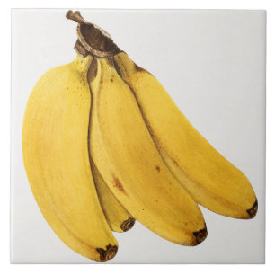 Vintage Botanical Ceramic Tile