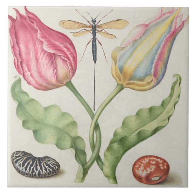 Vintage Botanical  Ceramic Tile (Front)