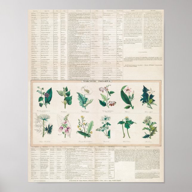 Vintage Botanical Chart (Front)