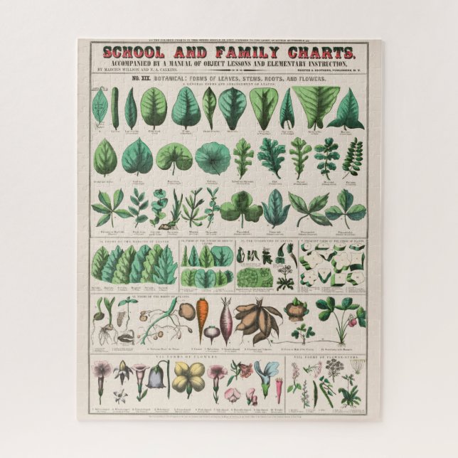 Vintage Botanical Chart: Leaves and Flowers Jigsaw Puzzle (Vertical)