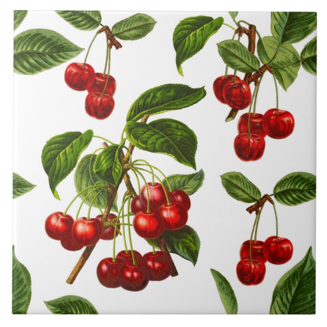 Vintage Botanical Cherries Patterned Ceramic Tile (Front)