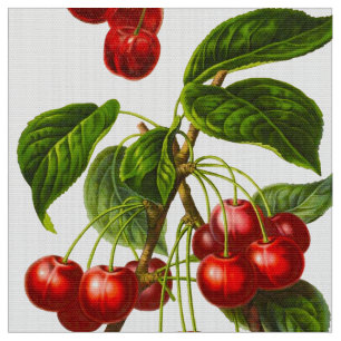 Vintage Botanical Cherries Print on White Fabric