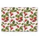 Vintage Botanical Cherries Print on White