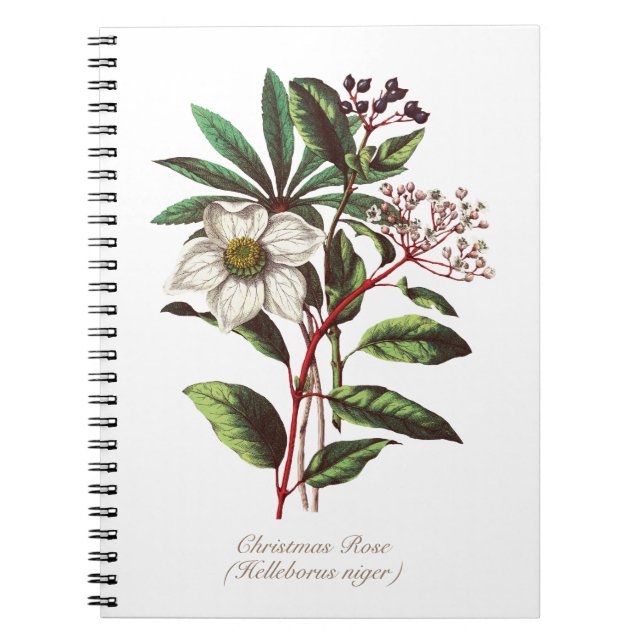 Vintage Botanical Christmas Rose Flower Bouquet Notebook (Front)