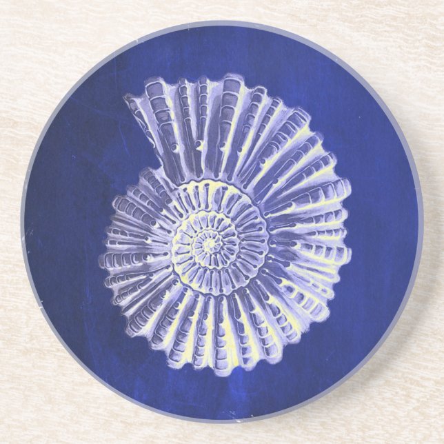 vintage botanical Coastal Blue White seashell Coaster (Front)