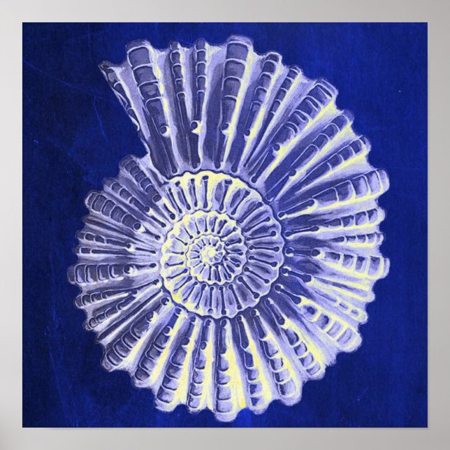 vintage botanical Coastal Blue White seashell Poster (Front)