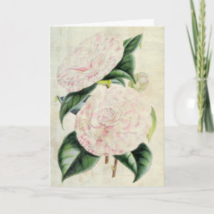 Vintage Botanical Countess of Derby Camellia Card