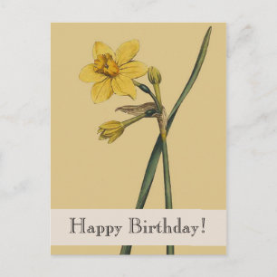 Vintage Botanical Daffodil Happy Birthday Postcard