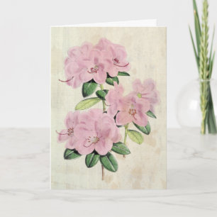 Vintage Botanical Early-Flowered Rhododendron Card