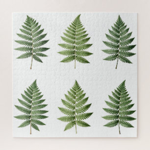 Vintage Botanical Fern Leaves Illustration Pattern Jigsaw Puzzle