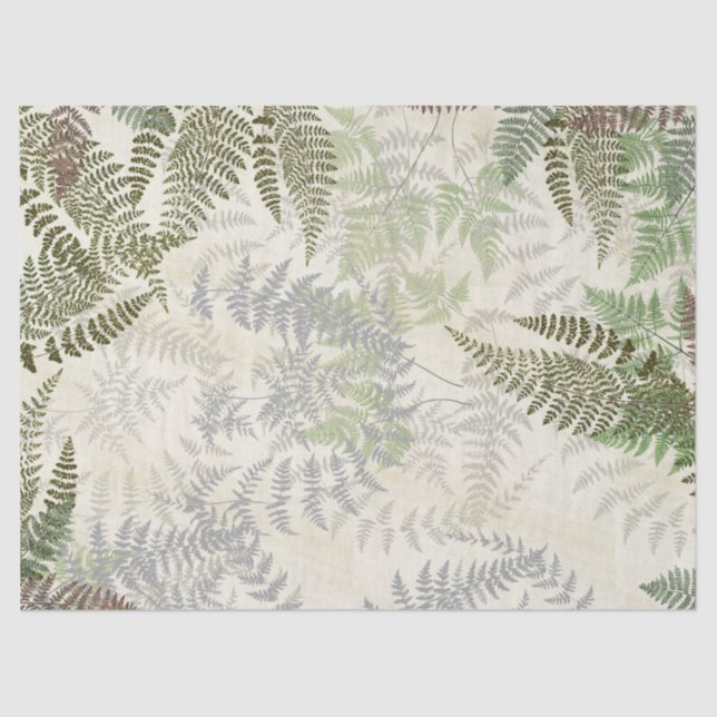 Vintage Botanical Fern Leaves Tissue Paper (Front)
