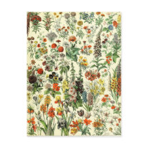 Vintage Botanical Fleurs Postcard