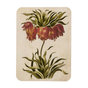 Vintage Botanical Floral Crown Imperial Magnet