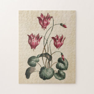 Vintage Botanical Floral Cyclamen Jigsaw Puzzle