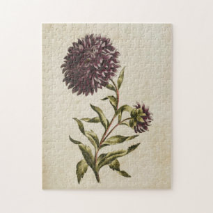 Vintage Botanical Floral Double Aster Jigsaw Puzzle