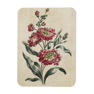 Vintage Botanical Floral Double Stock Magnet