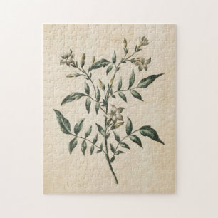 Vintage Botanical Floral Jasmine Jigsaw Puzzle