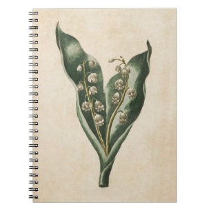 Vintage Botanical Floral Lilly of the Valley Notebook
