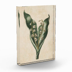 Vintage Botanical Floral Lily of the Valley Photo Block