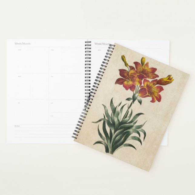 Vintage Botanical Floral Lily Planner (Display)