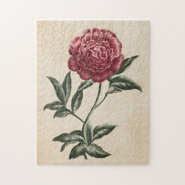 Vintage Botanical Floral Peony Jigsaw Puzzle (Vertical)