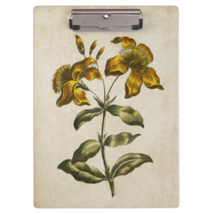 Vintage Botanical Floral St. John's Wort Clipboard
