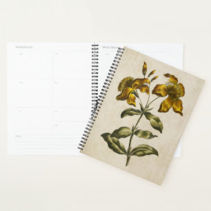 Vintage Botanical Floral St. John's Wort Planner