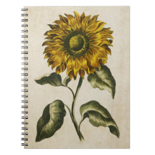 Vintage Botanical Floral Sunflower Illustration Notebook