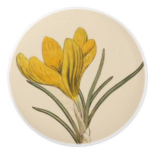 Vintage Botanical Flower Art Floral Garden Knob