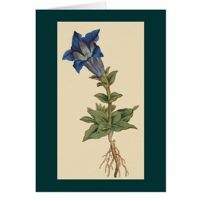 Vintage Botanical Flower Card (Front)