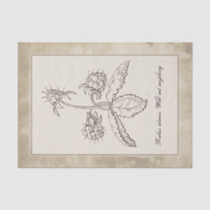 Vintage Botanical Flower Fruit Parchment Decoupage Tissue Paper