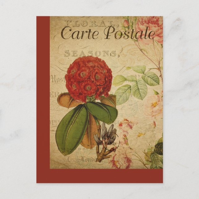Vintage Botanical French Post Card Rhododendron (Front)
