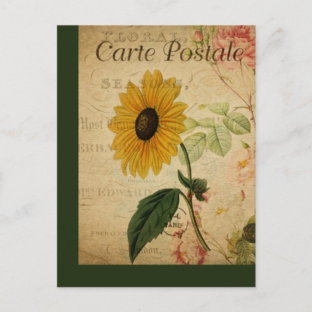 Vintage Botanical French Post Card Sunflower (Front)