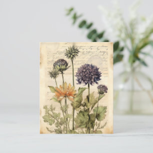 Vintage Botanical Herbal Scrapbook Paper 