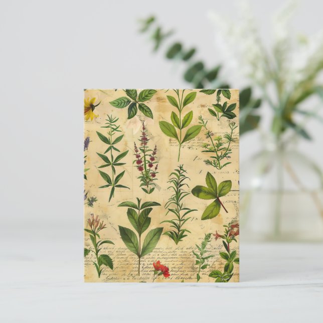 Vintage Botanical Herbal Scrapbook Paper  (Standing Front)