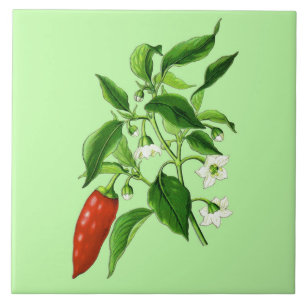Vintage Botanical Illustration, Chili Pepper Ceramic Tile