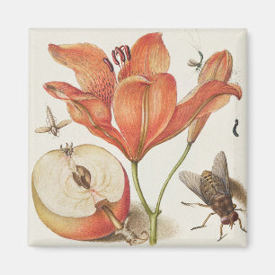 Vintage Botanical Illustration  Magnet