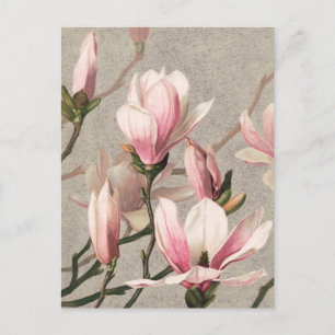 Vintage Botanical Illustration Postcard