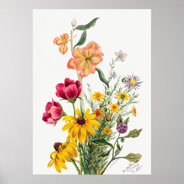 Vintage Botanical Illustration Poster (Front)