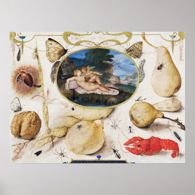 Vintage Botanical Illustration Poster (Front)