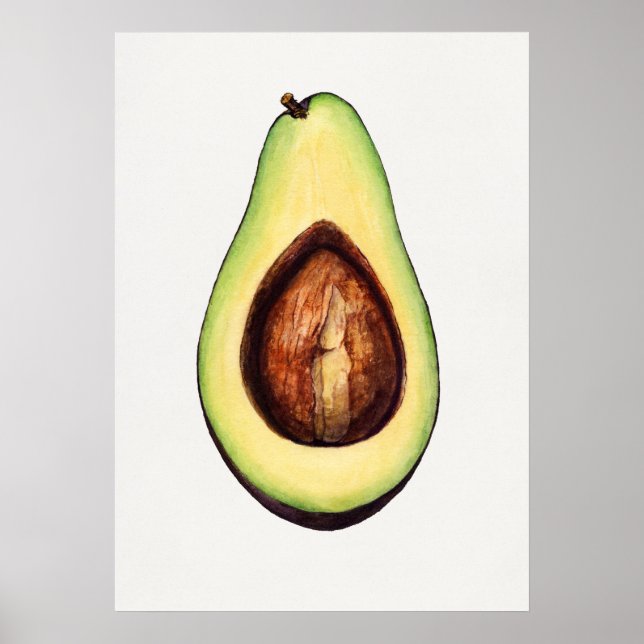 Vintage Botanical Illustration Poster (Front)