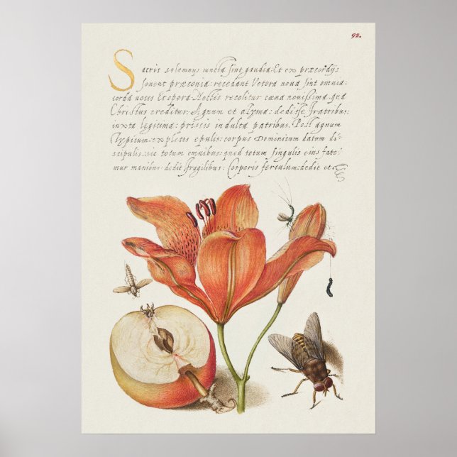 Vintage Botanical Illustration Poster (Front)