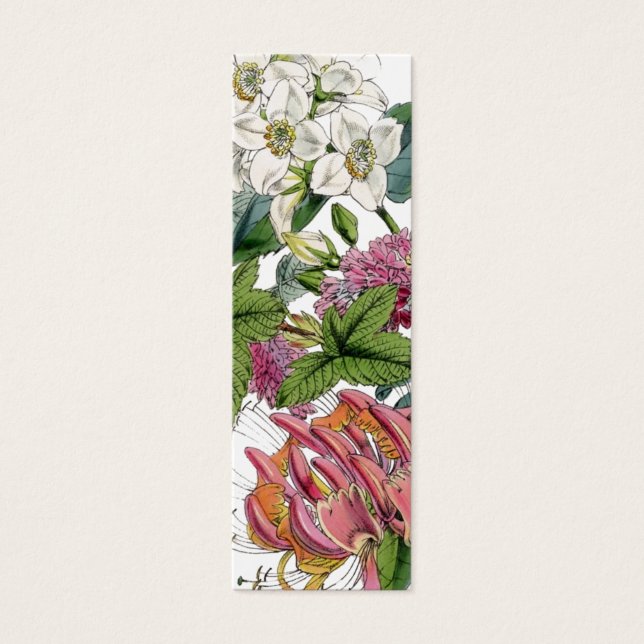 Vintage Botanical Illustrations (Front)