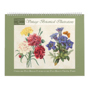 Vintage Botanical Illustrations 2026 Calendar