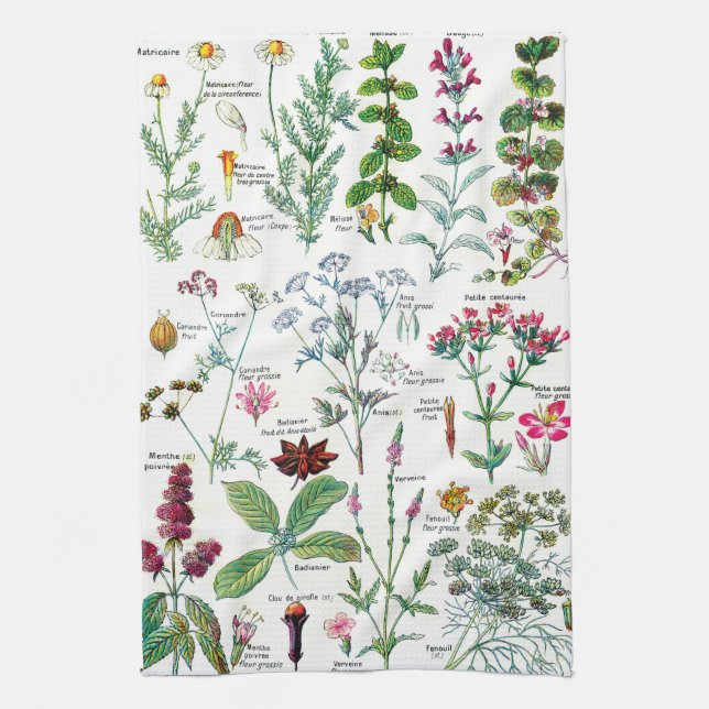 Vintage Botanical Illustrations Tea Towel (Vertical)