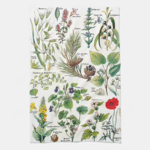 Vintage Botanical Illustrations Tea Towel