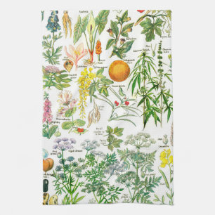 Vintage Botanical Illustrations Tea Towel
