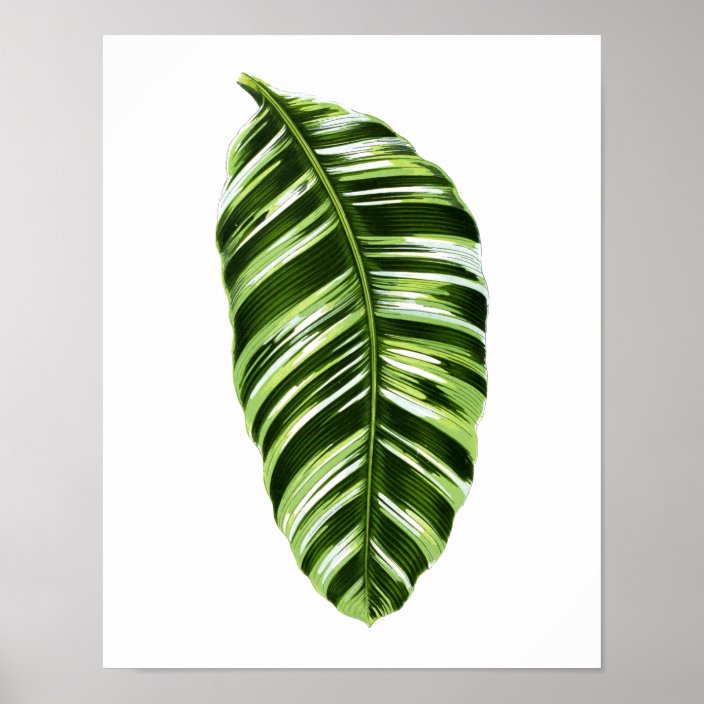 Vintage Botanical Leaf Print | Zazzle.com.au