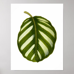 Vintage Botanical Leaf Print
