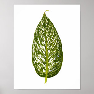 Vintage Botanical Leaf Print